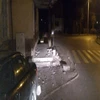 W Dobrym Mieście samochód uderzył w budynek stacji kolejowej.