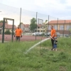 Mieszkańcy Sząbruka w gminie Gietrzwałd wzięli udział w akcji sadzenia drzew „Zielonym do góry”.